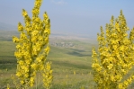 Sestup z Gegham do vesnice Sevaberd, Arménie