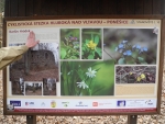 Na cyklostezce.