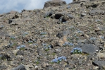 Západní vrchol Aragatsu (cca 4000 m), Arménie