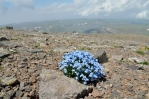 Výhled ze západního vrcholu Aragatsu (cca 4000 m), Arménie