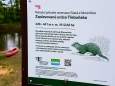 Příroda staré Lužnice skrývá mnohé překvapení.