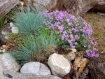 Skalka u hospody u recepce...