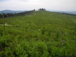 Lysá.