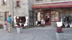 .... a jejich kůže je na prodej cca za 245 Euro