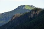 Osobitá.