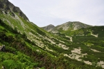 Spálená.