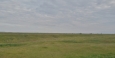 Maďarské roviny