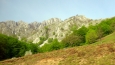 Karpaty