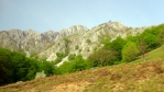 Karpaty