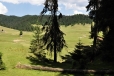 Planina Ponorului. Potok do ní vyvěrá z vysokě skalní stěny a mizí ponorem.