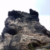 Falkenstein (Sokol).