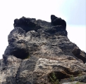Falkenstein (Sokol).