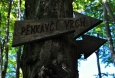 Odbočka na Pěnkavčí vrch není 