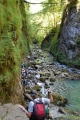 Galbena Gorge...