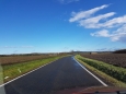 A zatímco nad Novohradskými horami, Blanským lesem a Šumavou stále visí černá mračna, na Zbudovských blatech vládne azuro.