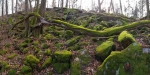 Hrad (666 m).