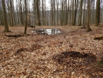 Pod Strakovem.
