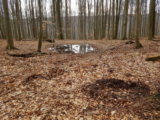 Pod Strakovem.