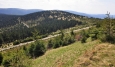 Vřesník.