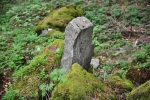 Spočinek Velkého Plešného (1 002 m).