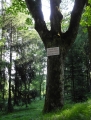 Neptunův trojzubec.