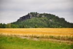 Gohrisch.