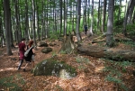Jdeme zmlazenou bučinou. To je výhoda Bavorského NP proti NP Šumava, sevřeného především smrkovými porosty.