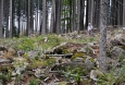 Kameny ztěžují výstupy i sestupy na mnoha šumavských vrcholech.