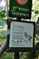 Chráněný přírodě blízký les na strmých a kamenitých svazích. Převažující bučinu doplňuje na vrcholu Noříčí hory smrk ztepilý a v dolní části rezervace javor klen.Podrost tvoří typické druhy kyselých bučin (bika lesní, třtina rákosovitá, papratka samičí), květnatých bučin (rozrazil horský, bažanka vytrvalá, kokořík přeslenitý) a suťových lesů.Hnízdí zde chráněné druhy ptáků, například holub doupňák, kos horský, jeřábek lesní, ořešník kropenatý. (www.mapy.cz)