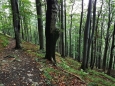 V rezervaci Skalka...