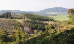 Horečky.