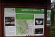 NS Jezevčí stezka, kterou projdeme celý masív Ondřejníku.