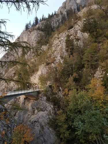 Most vede k tunelu, kterým v šeru postupujeme zpět k Gmundenu.