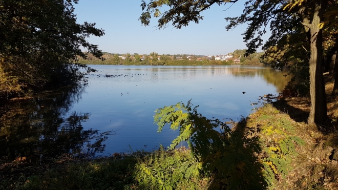 Zlivskému rybníku místní říkají Horný.