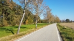 Cesta k Břehovu.
