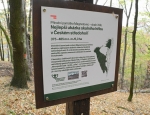 Přírodní památka zahrnuje geomorfologický útvar utvořený dvěma vulkanickými proudy. Spodní hornina je pórovitější a více podléhá erozi, tvoří tak užší "nohu" hřibu. Vrchní část je tvořena odolnější horninou.