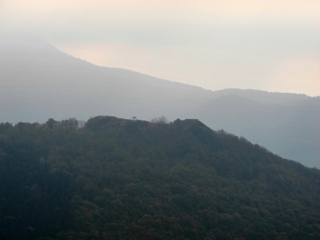 Kalich.