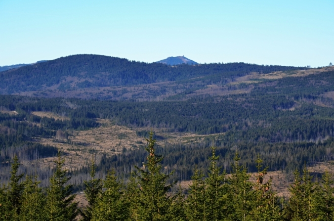 Daleko za Falkenštejnem vykukuje vrchol nejvyšší hory Šumavy Velkého Javoru (1 456 m). 