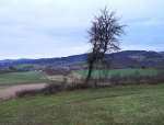 Vzdálené Vitějovice.