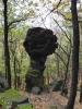 Skalní hřib (Magnetovec - České středohoří).