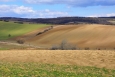 Moravské Toskánsko (Šardice).