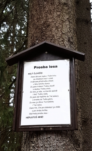 Prosba lesa.