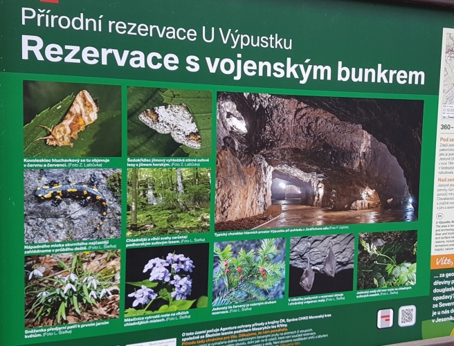 U Výpustku.