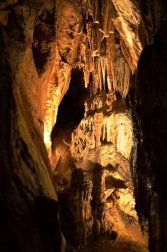 Balcarka je významnou archeologickou a paleontologickou lokalitou. Nás však více zaujme bohatá a rozmanitá krápníková výzdoba. 