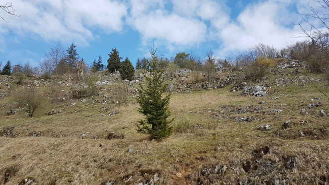 Sráz Občiny skrývá Srnčí jeskyni s celkovou délkou chodeb až 350 m. Na průzkum podobných jeskyní, kterých je zde mnoho, bychom potřebovali mnohem více času.
