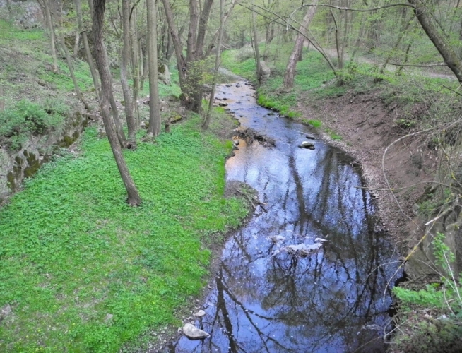 Říčka Loděnice...