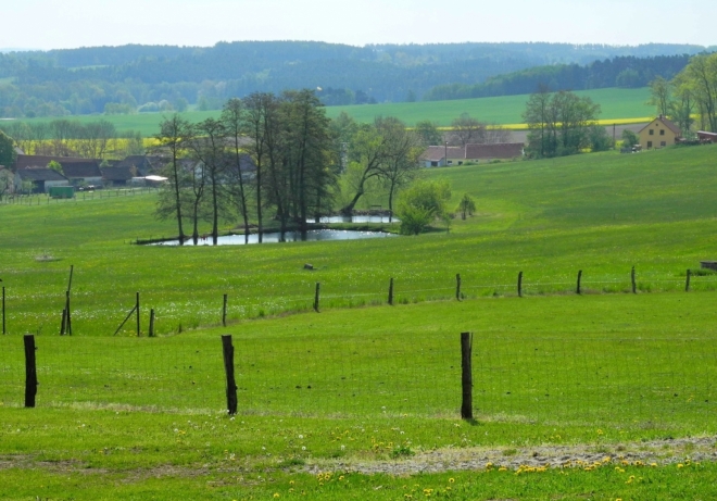 Pastviny nad Habřím.