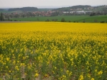 Lipí.