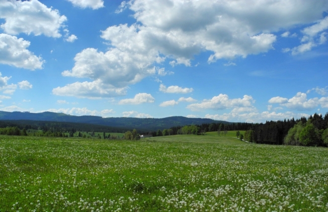 U Arnoštova.