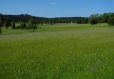Dvojdomí.